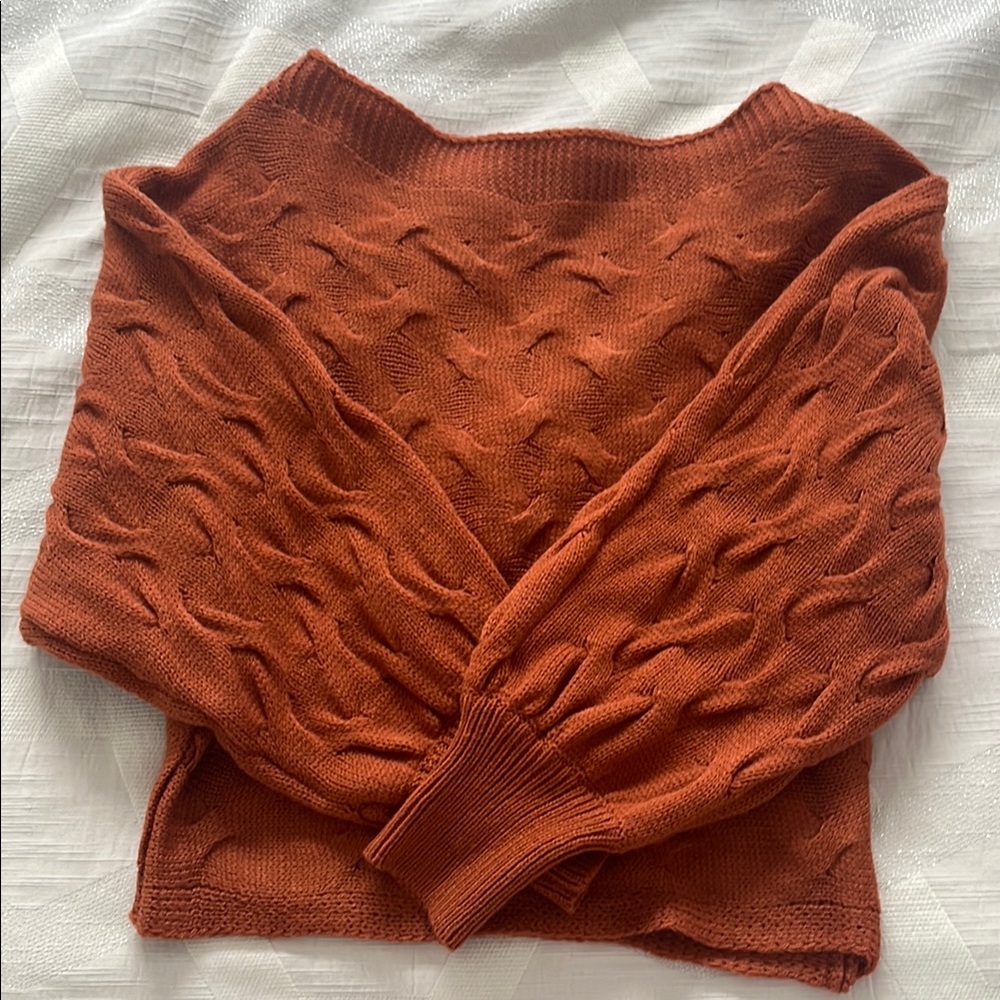 Rust Cable Knit Sweater